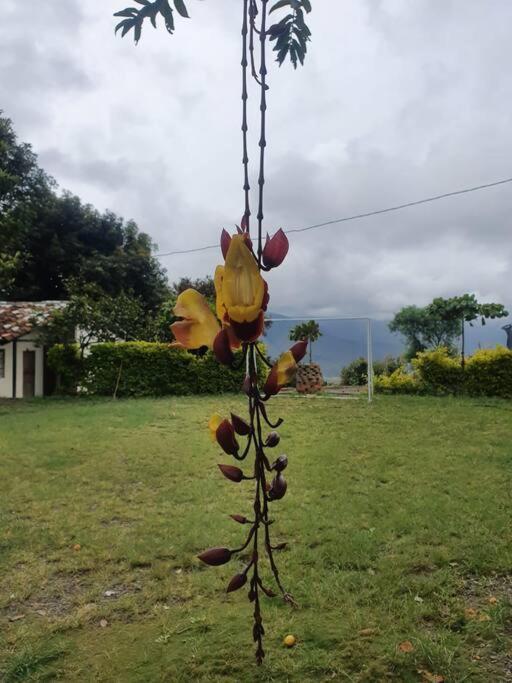 Beautiful Country House Villa Loja Exterior photo